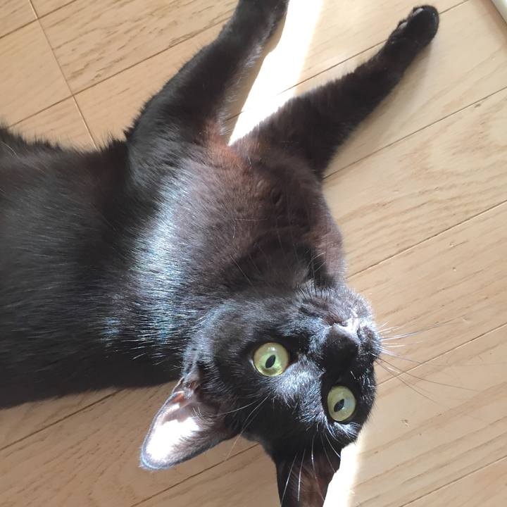 Ef4856c4 bd2c 472e 8863 e35a091316aa