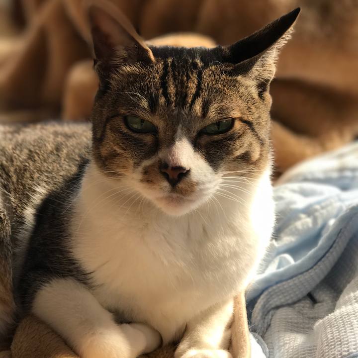 Ef48806e f3c8 4160 b18b a15f791ece42