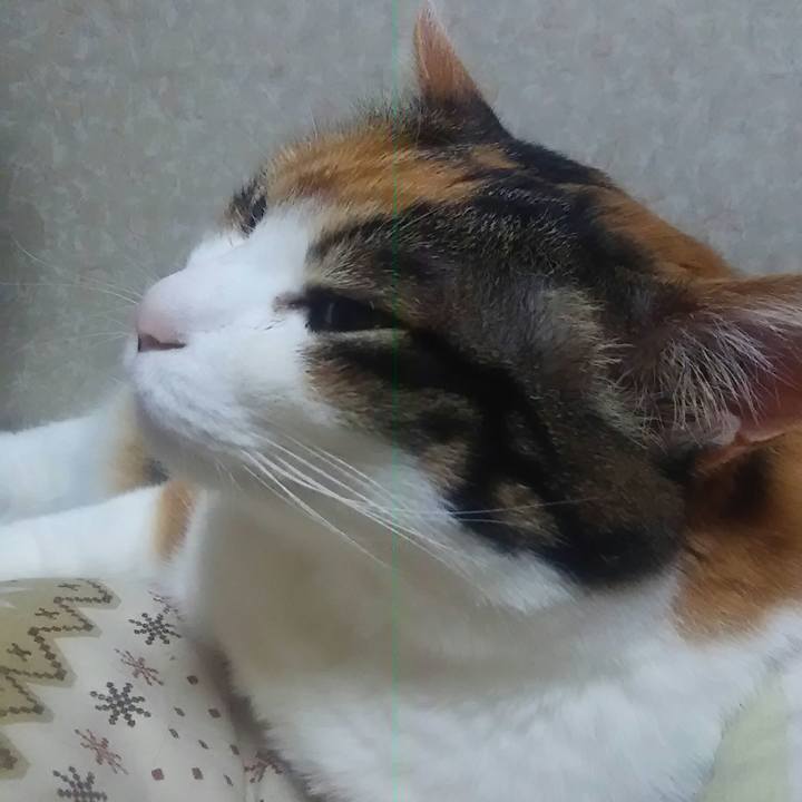 Ef48d09d 6b84 4566 9109 98a4da3a8cfe