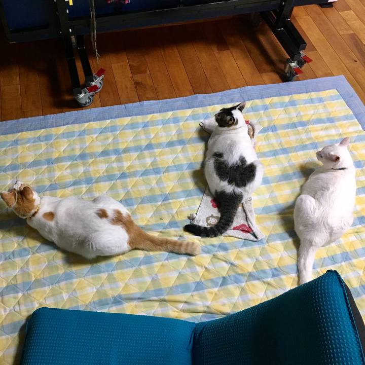 Ef491687 43f1 45e6 92b2 b053027411e1