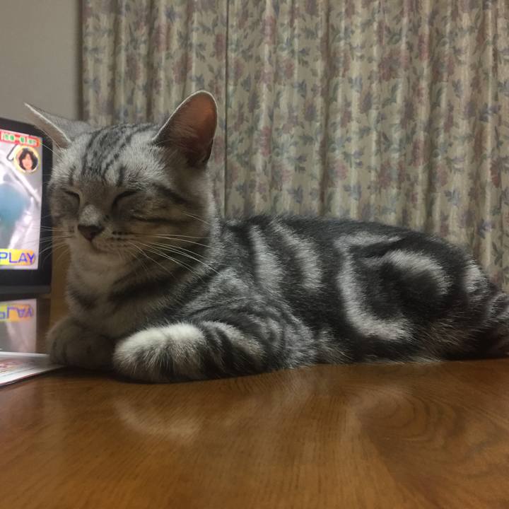 Ef4a6303 ffd8 491b 9153 64d11e264d64