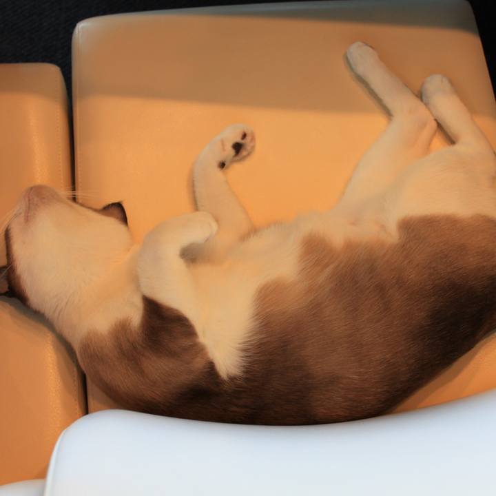 Ef4aa14e b7c5 4804 8188 dba8e3df78f7