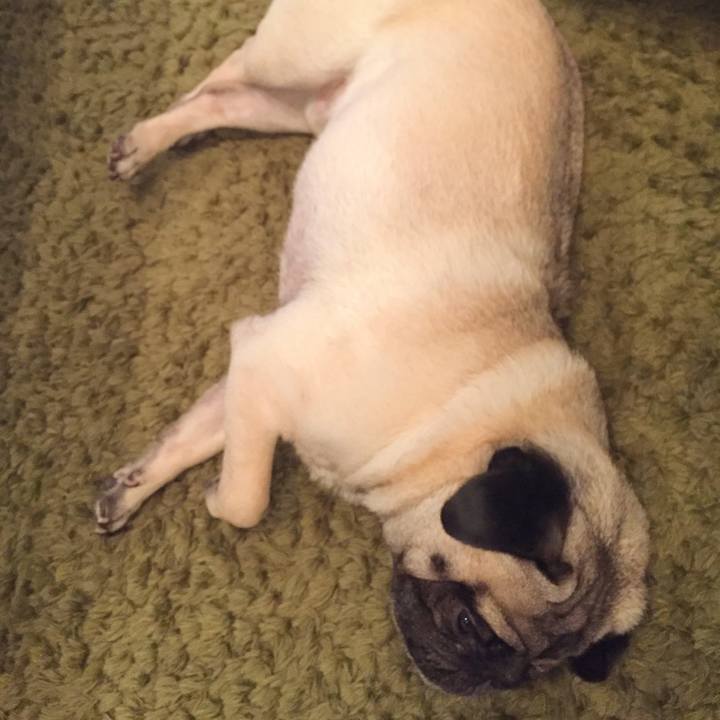 Ef4ac209 6e9b 40ce 8603 a6c88a8556dc