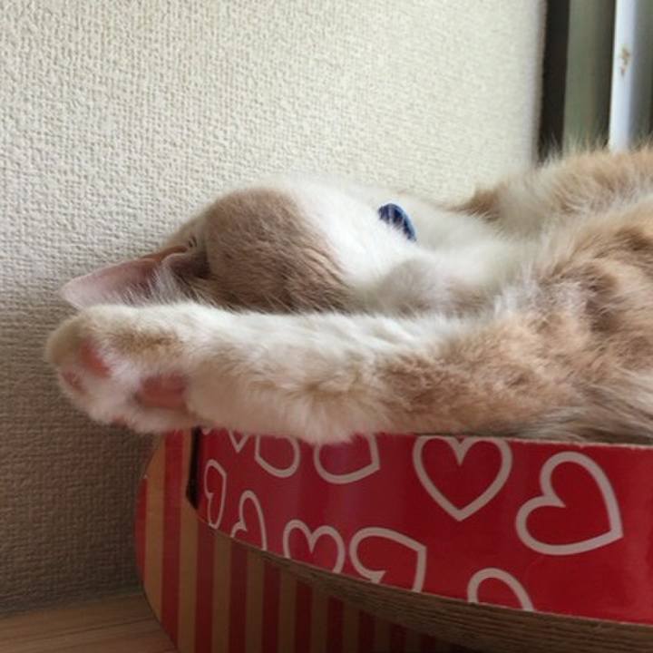 Ef4b02c7 c79a 455c 8eed c6e510899cc8