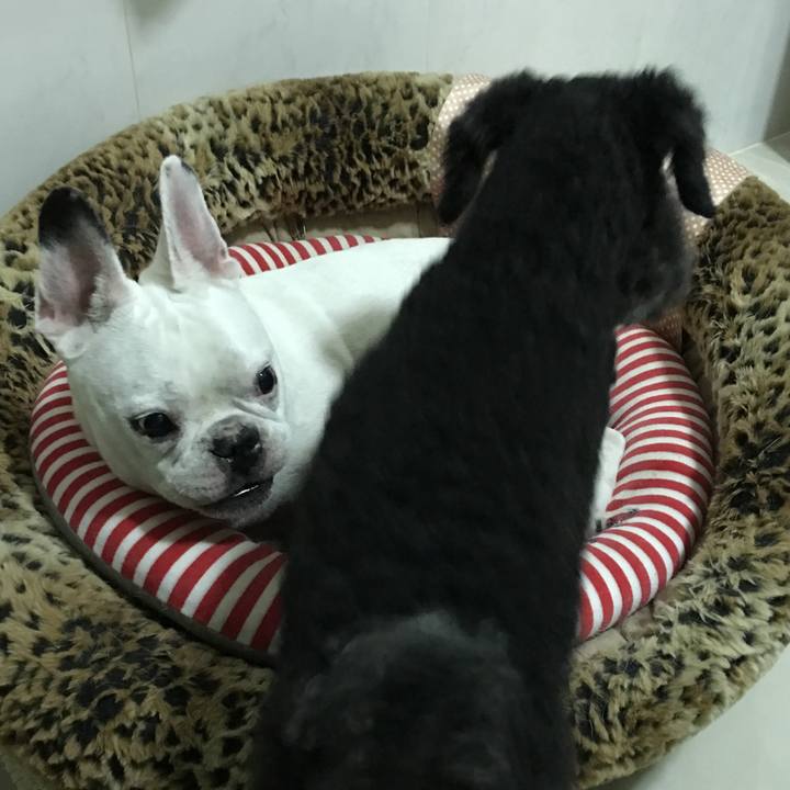 Ef4b7635 7c40 4037 8269 15ace31c7a23