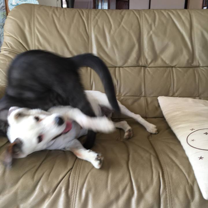 Ef4bf7b9 35f3 41bb aa91 fe9b81488f99