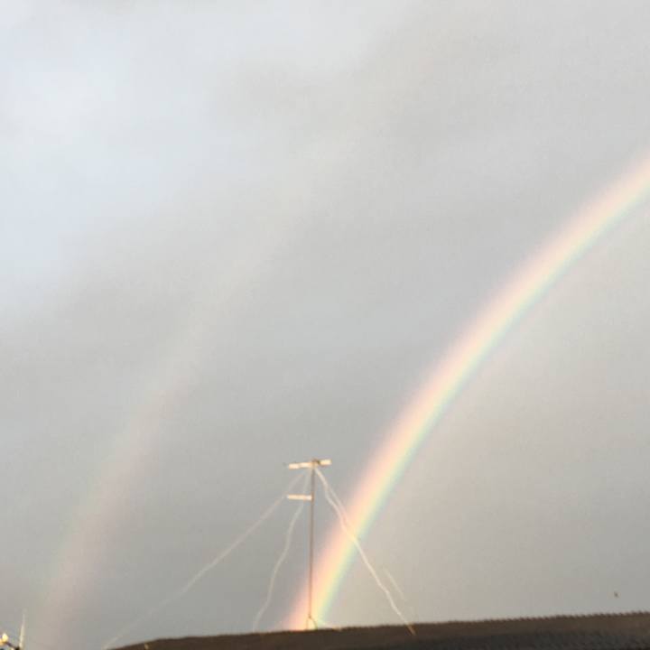 Ef4c0dfb dcbd 4b0c ad3c c9b4d7083b69