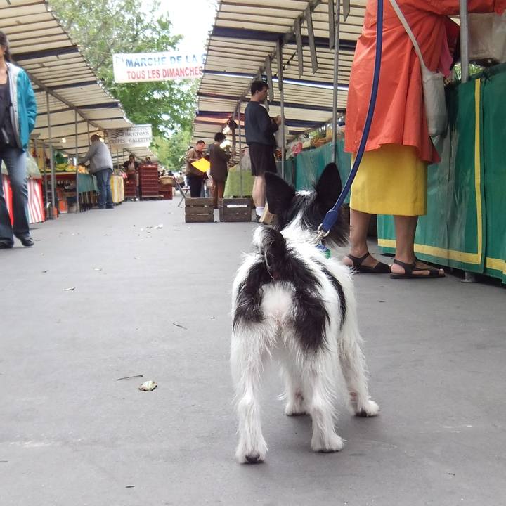 Ef4c455d 052f 4520 b3bd 078dbbc5ad90