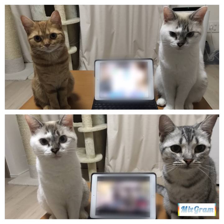 Ef4c93c4 4dd0 421d a3ce cf1855986f8a