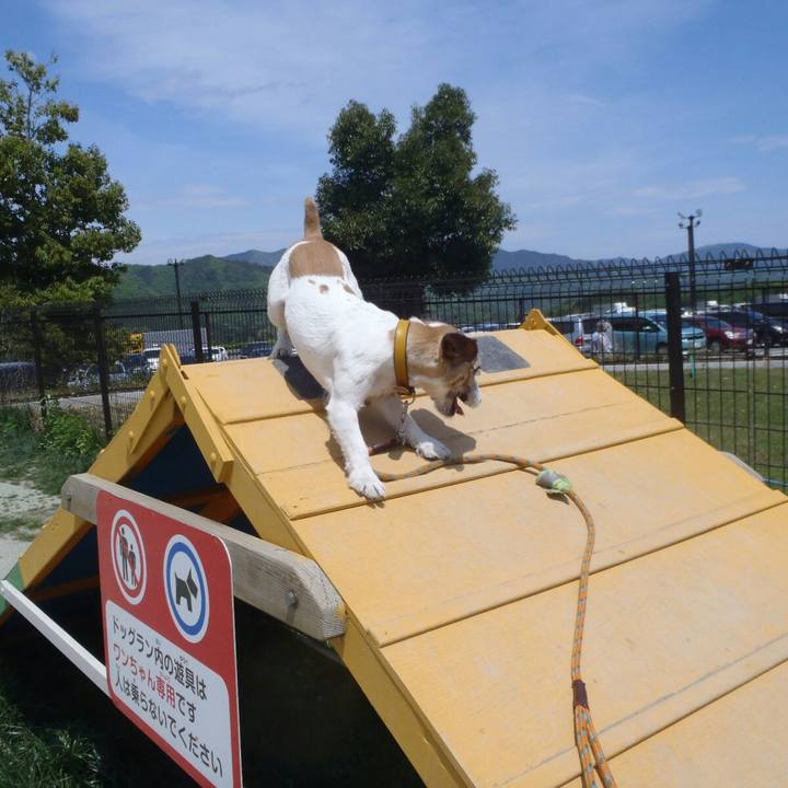 Ef4ce908 45f8 4492 bf10 11101187fe10