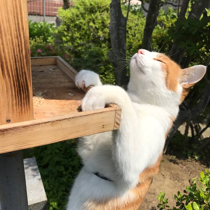 Ef4d0363 5158 4da8 a593 2bf6f48eaba5