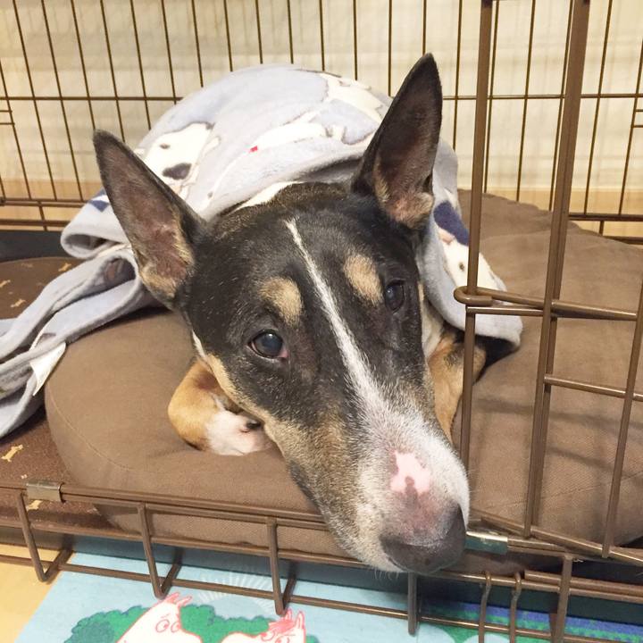 Ef4d1aa5 9490 4bc9 aace 9c9cf3732666