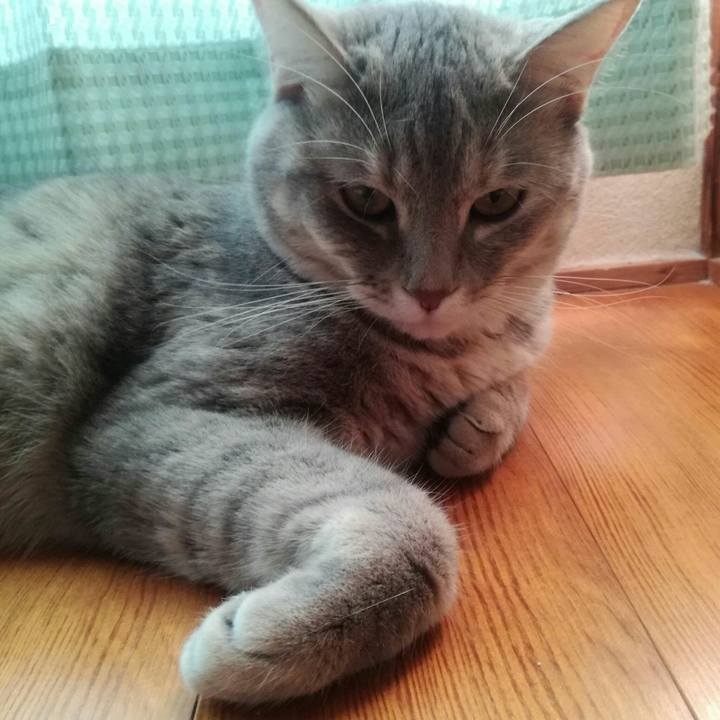 Ef4d40b1 4e30 4e8e 9506 1f5767bb16c5