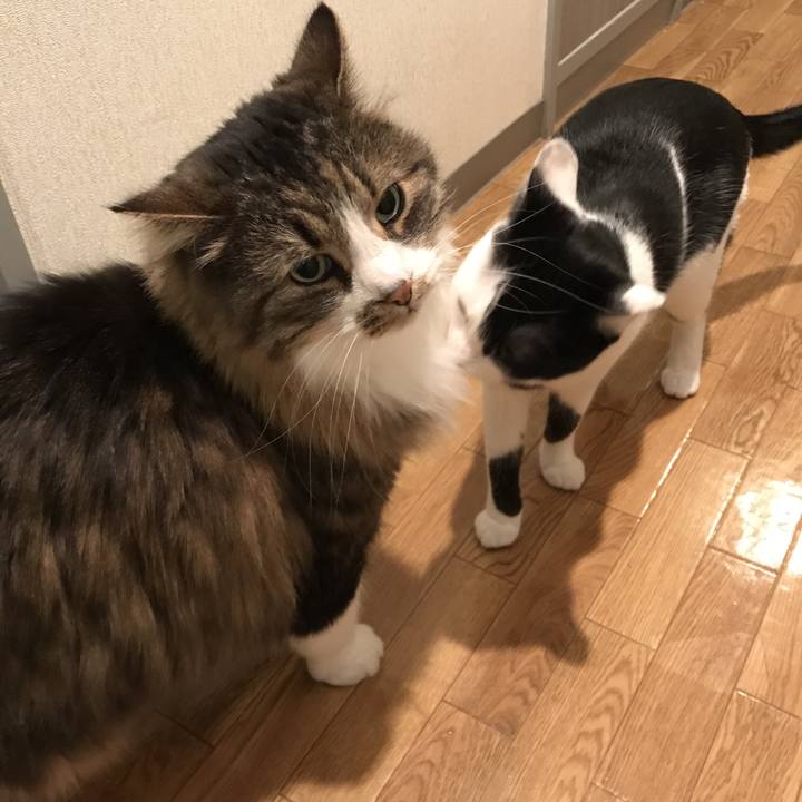 Ef4dbf30 5df8 4696 8443 47712badd482