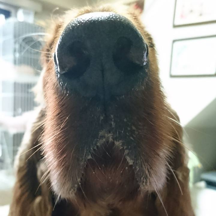 Ef4ed62a bf32 4468 8b3b 0f3b82e575d3