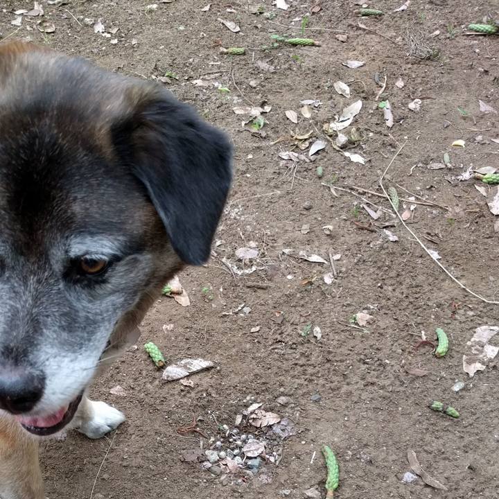 Ef502ae3 cefc 46da b58e 16a1da753196