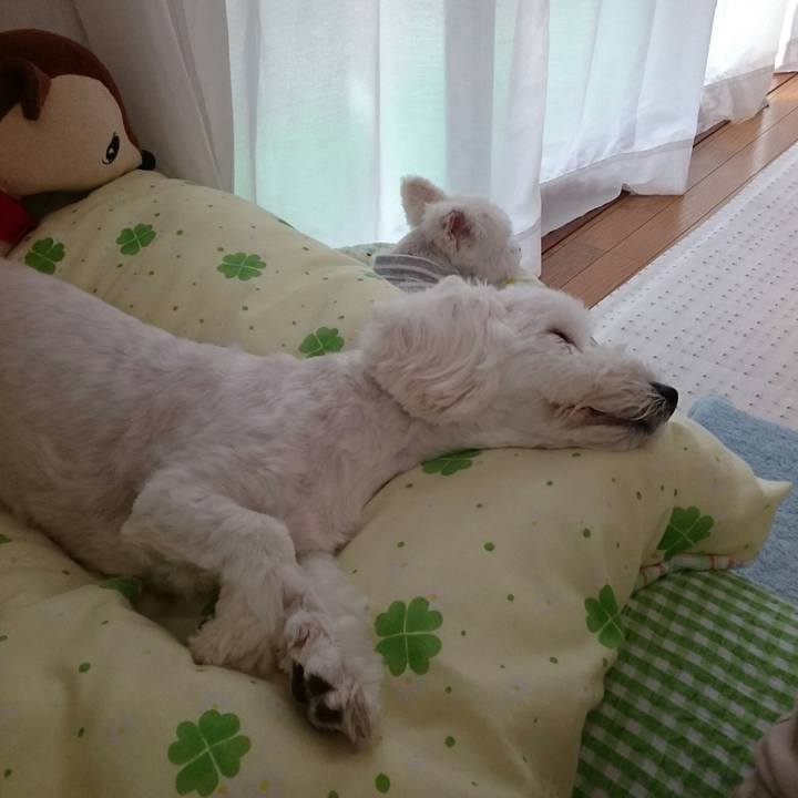 Ef506fd0 26cc 44db 9cb9 b5d9966eaa9a