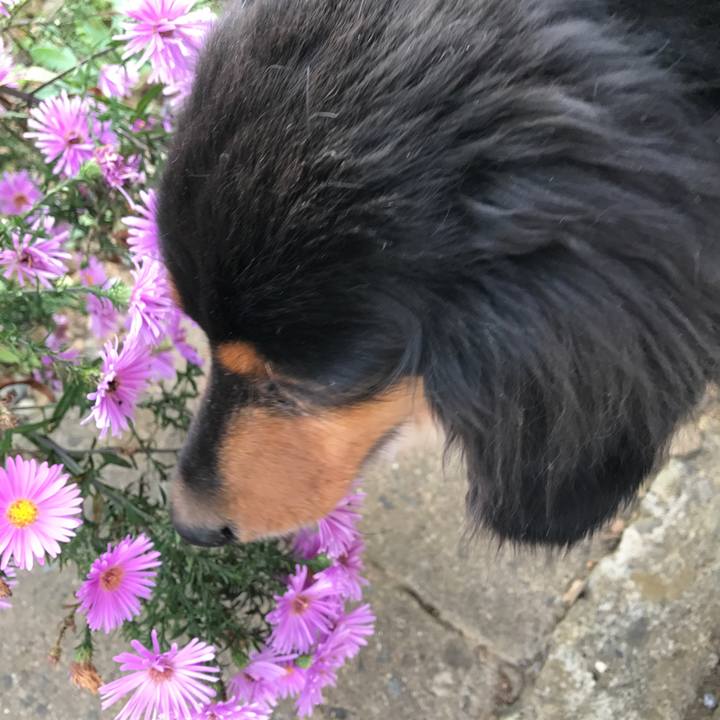 Ef508589 3e97 4878 a026 c8711cb671d6