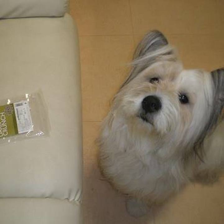 Ef518f50 ca0d 4dc1 b6d7 9f0b670fb189