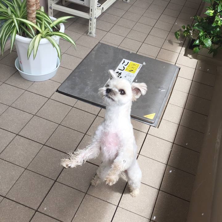 Ef51d839 8054 4c93 bd8e 9f38db838674