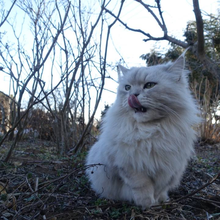 Ef5406de f1d8 4cdc b754 6ba7a986665c