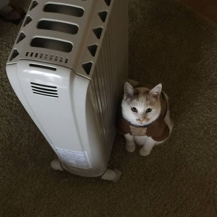 Ef542397 3d21 4354 8f61 74a97c5bb898