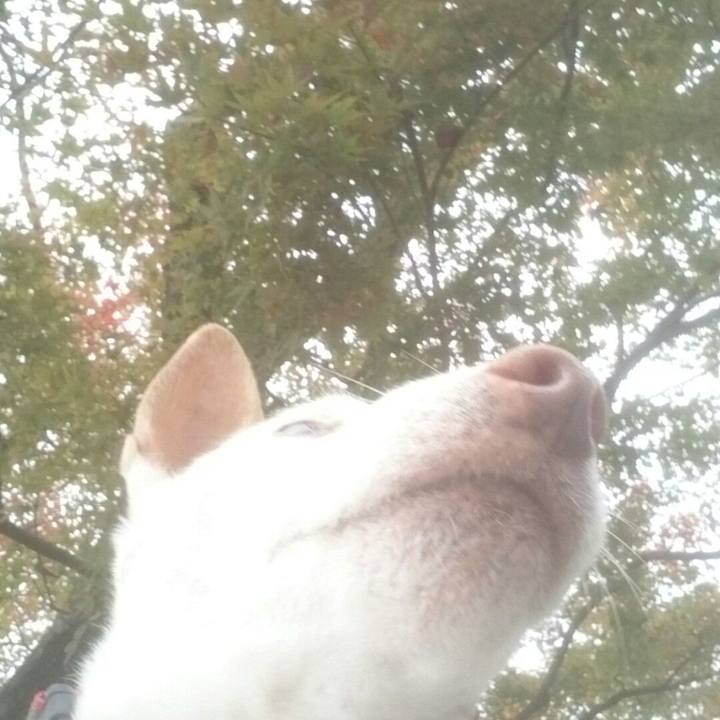 Ef544fef 3197 40e5 9d4a a2e8f2ab2520