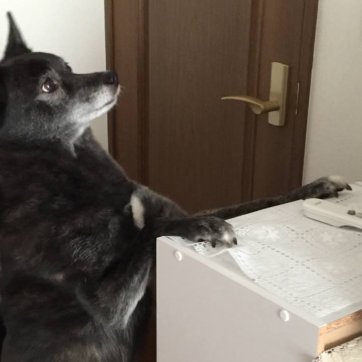 Ef5485d5 0730 41cb ad2b 5441bdfd4168