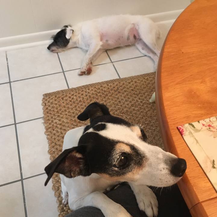 Ef552791 5472 4554 984f 539debcb049c