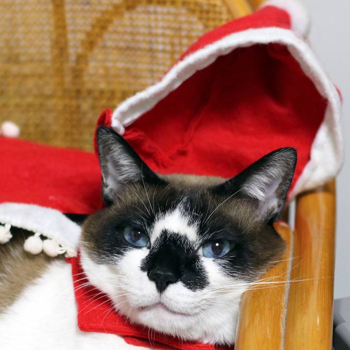 Ef559564 0cdf 408f b601 48d8c71b0500