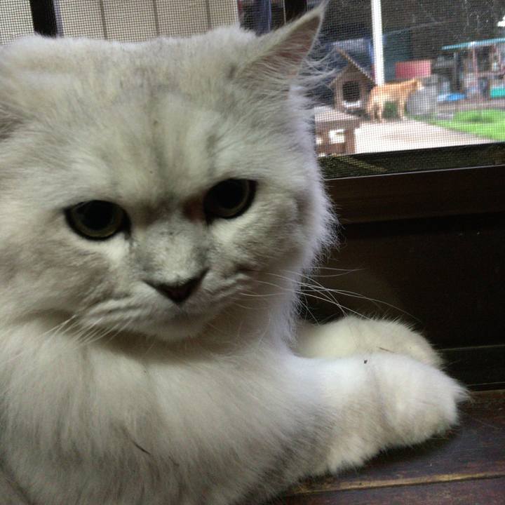 Ef559c2a f0a5 44ad 8a18 e39dc29c8d16