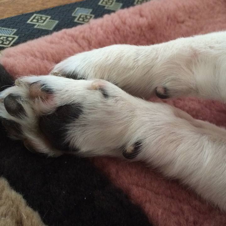 Ef55dfef 3a57 4e92 8842 913dd0c97a3a