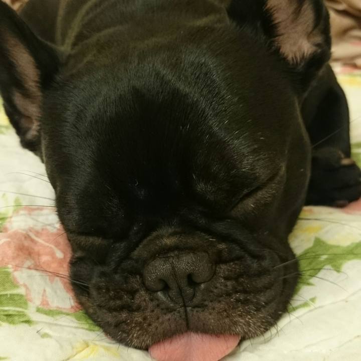 Ef56103b 1db3 4abf 9c7e 93cfd66880df