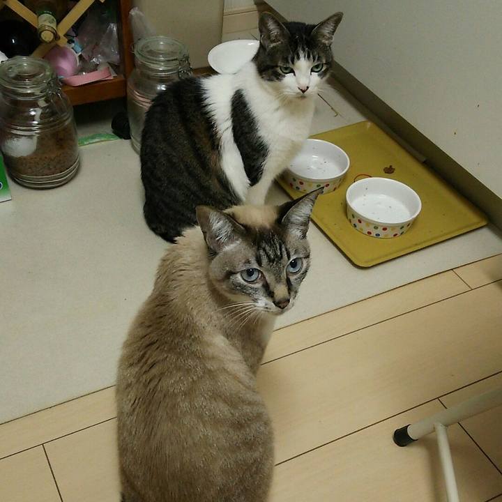 Ef565dc1 b044 4151 91cf ace040267184