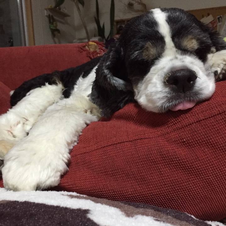 Ef5678a9 9005 47ba b76b fd4a10f695c0