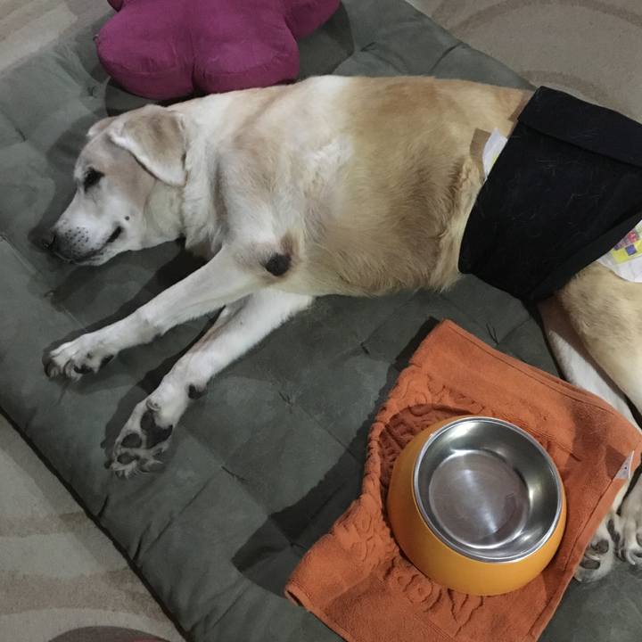 Ef568426 5972 4951 865f aa6214c445cc