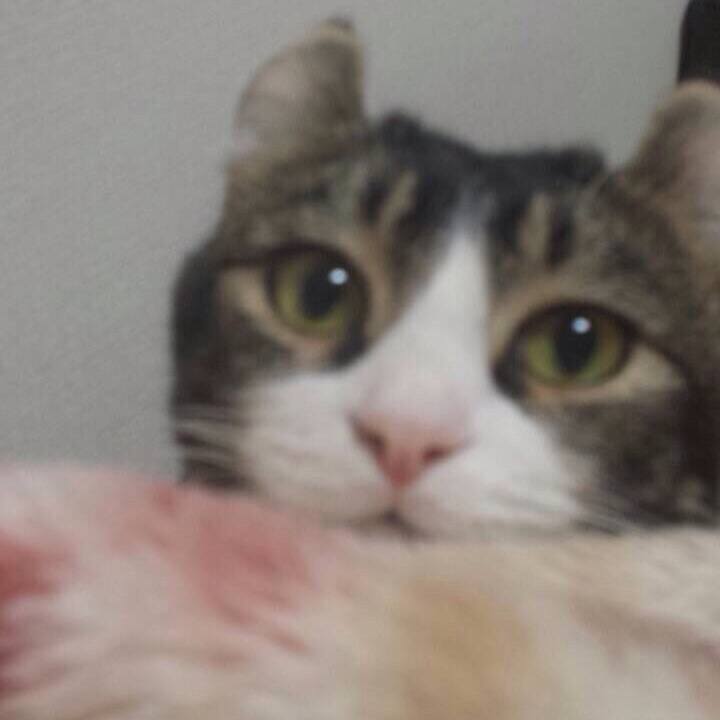 Ef56ae08 4356 4275 991b a365a3ff029c