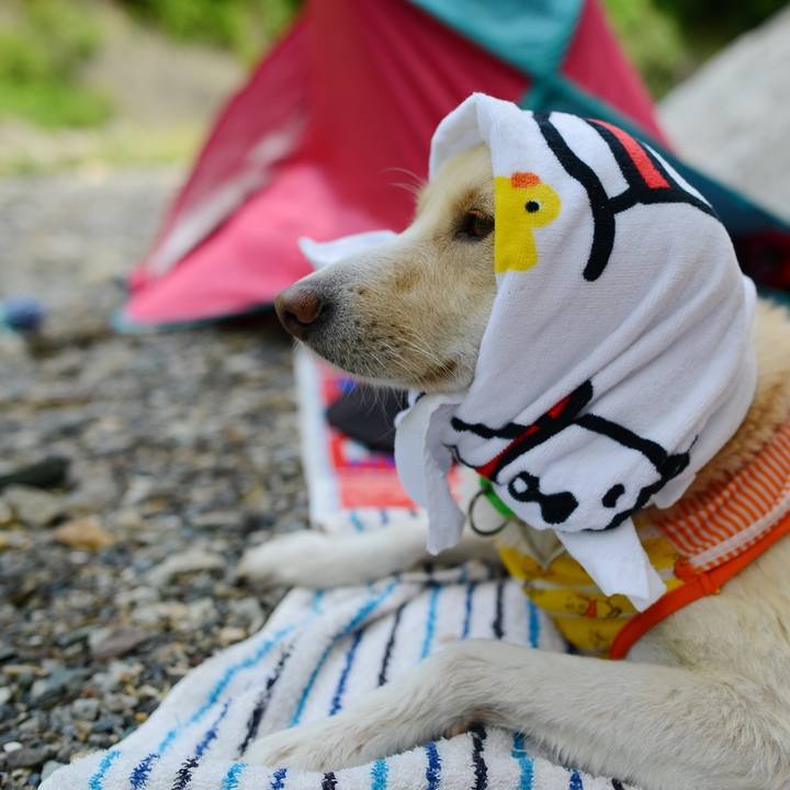 Ef56eb8b 3654 47ea a6e5 46df111e3e06