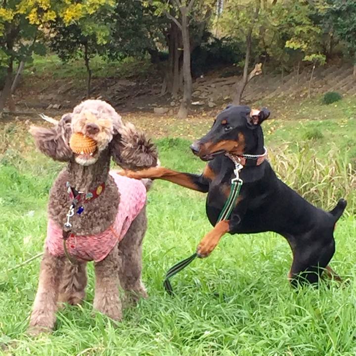 Ef57091d 323c 47e8 8d54 aa30070050d7