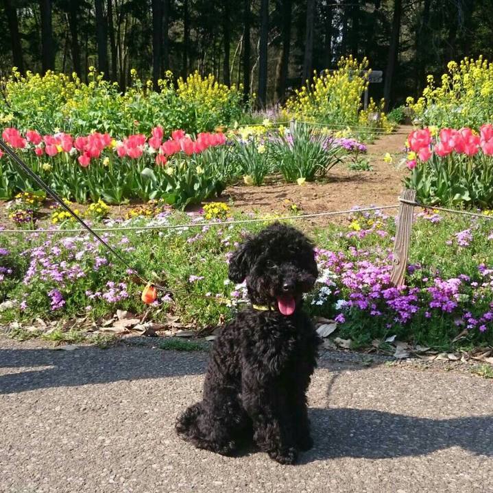 Ef584ed3 bbd8 42cb a93e 7a0657943e03