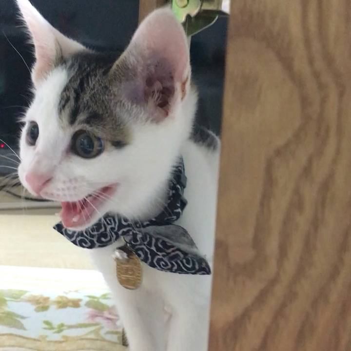 Ef587e98 2e6e 4d42 850d 1c898d6e8ab0