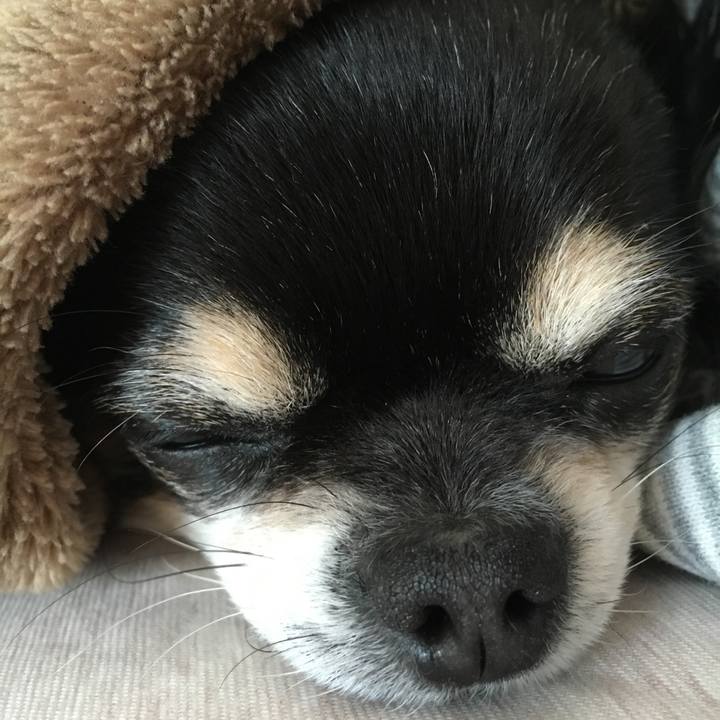 Ef58ce4c 9ccb 470d 8242 c789dfa5f994