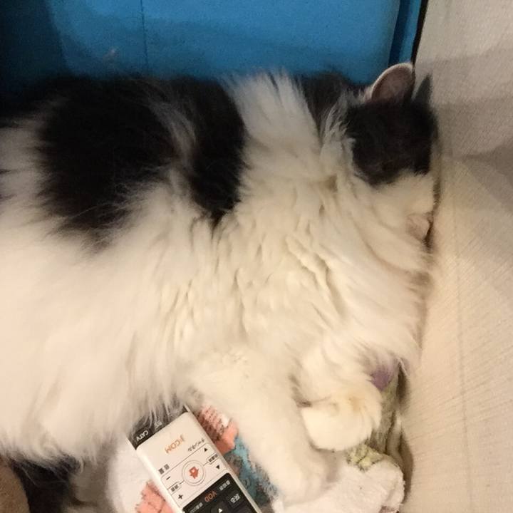 Ef58d102 73a9 4481 9e41 9cea06579356