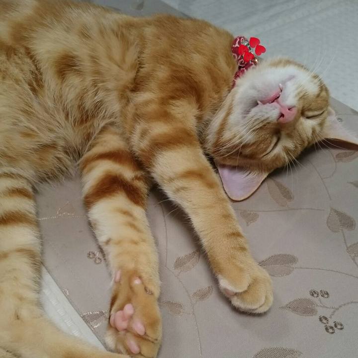 Ef58feef 4b89 4618 9989 2140f913a17b