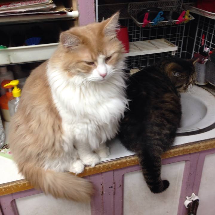 Ef592c82 f8e9 4515 b65a fb25cb511576