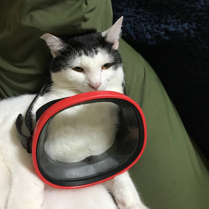 Ef5a0d72 678f 4a6d 8587 b753cd6c8620