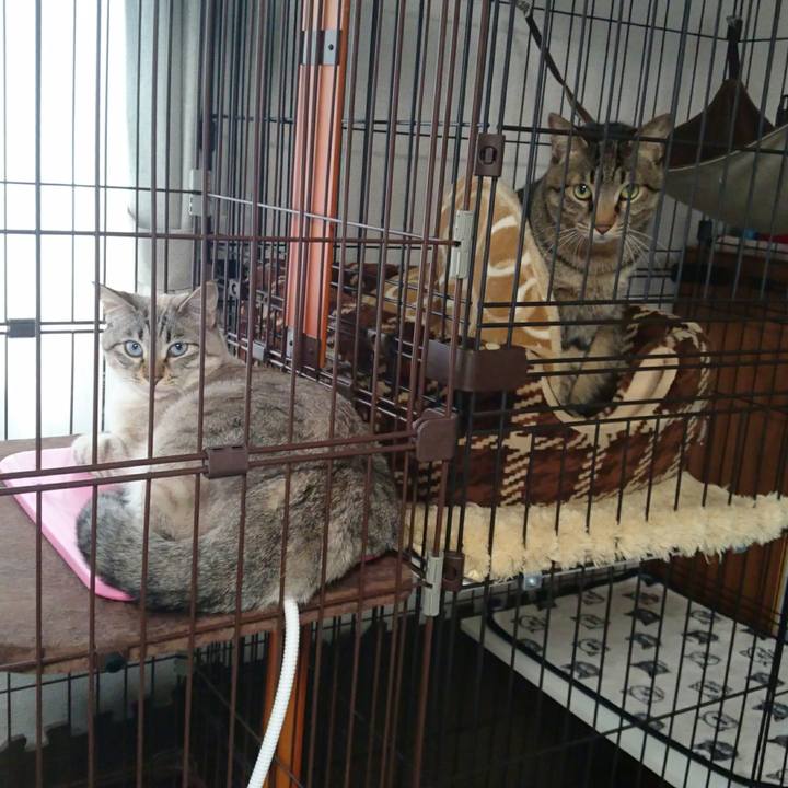 Ef5a16a0 cdce 42de adaa 04833dd646b0