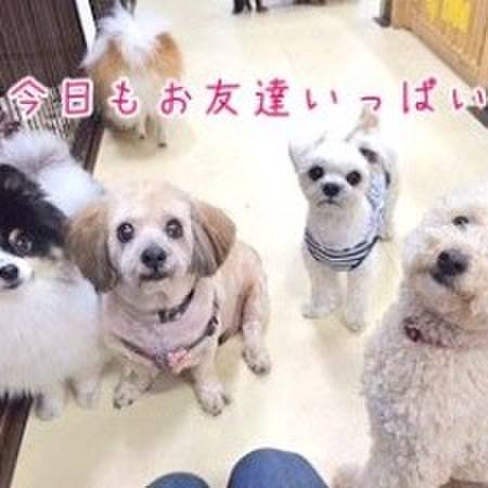 Ef5aeb7e 5d6d 47e9 ba26 fafb7debb783