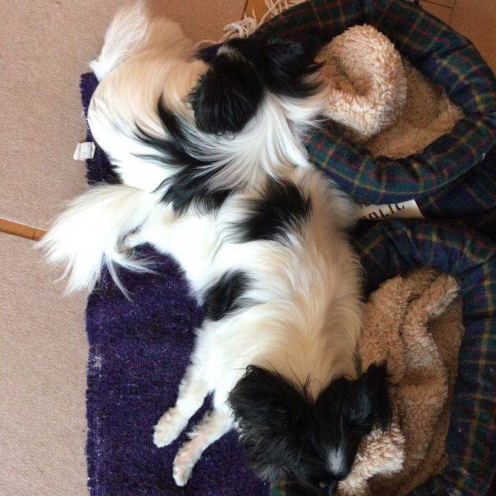 Ef5b7200 aeb3 4bc6 83c3 3505ca69cc46