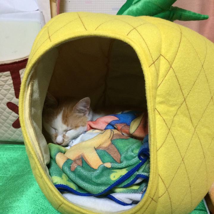 Ef5be1b4 413d 47b6 9710 8537f70dcc85